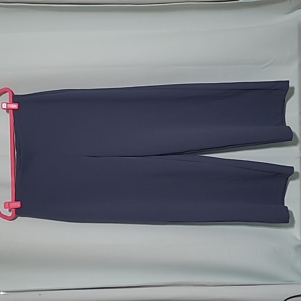 Ann Taylor Loft Pants